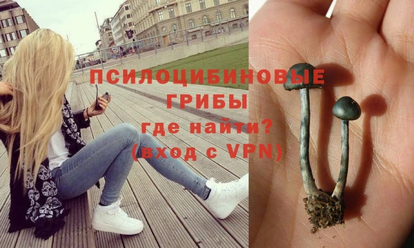 apvp Арсеньев
